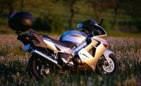 Číst dál: HONDA VFR 800 Fi